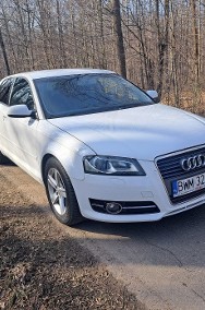 audi A3 1.6tdi  2011rok /orginal ...pszczółka-2
