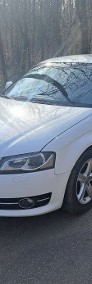 audi A3 1.6tdi  2011rok /orginal ...pszczółka-3