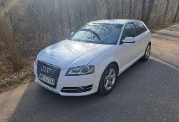 Audi A3 II (8P) audi A3 1.6tdi 2011rok /auto do jazdy