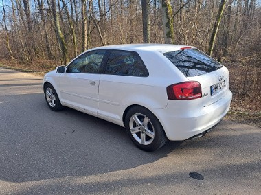 audi A3 1.6tdi  2011rok /orginal ...pszczółka-1