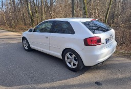 Audi A3 II (8P) audi A3 1.6tdi 2011rok /orginal ...pszczółka