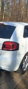 audi A3 1.6tdi  2011rok /orginal ...pszczółka-4