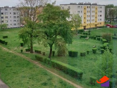 Sprzedam mieszkanie - Sosnowiec -Bór-1