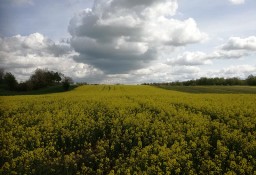 Działka rolna 3,72 ha Szyleny 