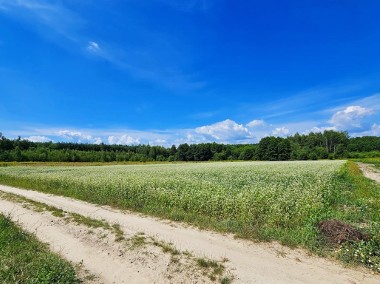 Działka rolna 49ar- Uściąż koło Kazimierza Dolnego-1