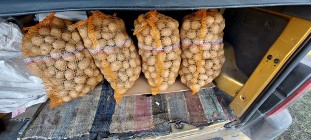 Ziemniaki jadalne irga gala 80gr /kg