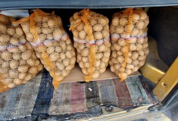 Ziemniaki jadalne irga gala 80gr /kg