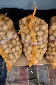 Ziemniaki jadalne irga gala 80gr /kg-2