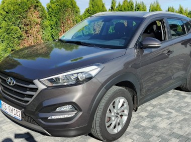 1.6 ŚLICZNY  Z NIEMIEC PO  OPŁATACH SERWIS OLEJOWY CO 12000KM-1