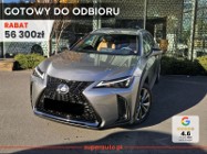Lexus UX 300h F Sport Design 2.0 Hybrid Dynamic Force F Sport Design 2.0 Hybrid