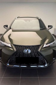Lexus UX 300h F Sport Design 2.0 Hybrid Dynamic Force F Sport Design 2.0 Hybrid-2