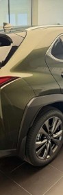 Lexus UX 300h F Sport Design 2.0 Hybrid Dynamic Force F Sport Design 2.0 Hybrid-3