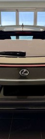 Lexus UX 300h F Sport Design 2.0 Hybrid Dynamic Force F Sport Design 2.0 Hybrid-4
