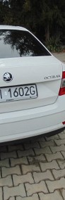 Zadbana Skoda Octavia z 2018 roku-3