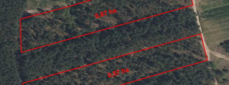 Na sprzedaż tereny leśne 1,24ha w Patokach-1