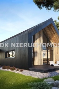Dom w stylu nowoczesnej stodoły-2