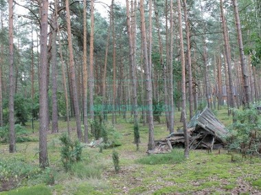Działka leśna Wilga-1