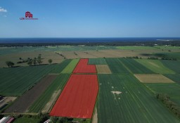 Działka siedliskowa Gdańsk, ul. Przegalińska