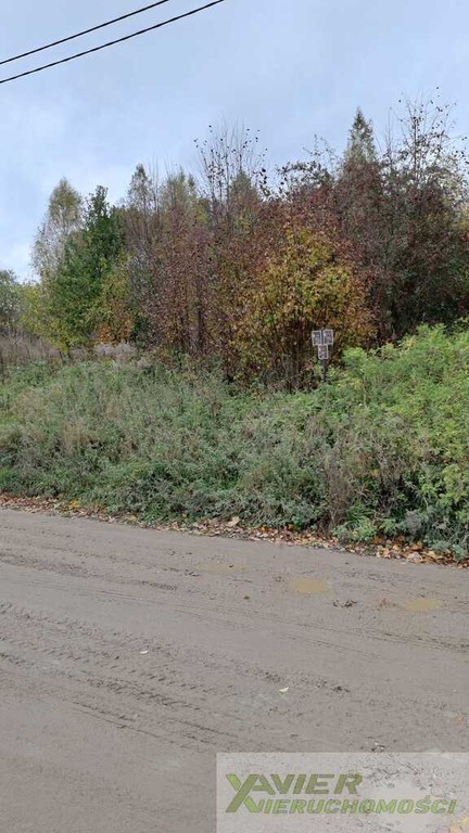 Bukwałd, dzlałki budowlane 2331 m² oraz 2222 m² MPZP - Widok 2