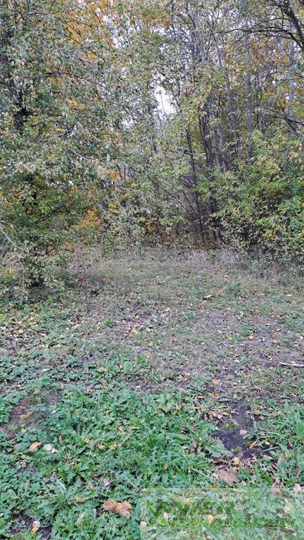 Bukwałd, dzlałki budowlane 2331 m² oraz 2222 m² MPZP - Widok 3