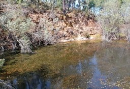 Działka inna Santo André Das Tojeiras