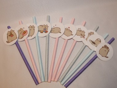 10x papierowe słomki pastelowe szary kot Pusheen kotki dla dzieci-1