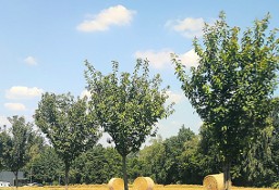 Działka usługowa Czechowice-Dziedzice, ul. Katowicka