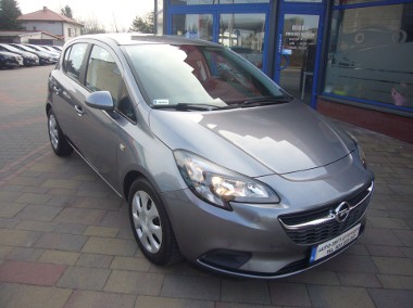 Salon PL - I właściciel - serwis-1