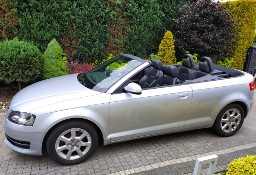 Audi A3 II (8P) Skóra PDC Serwis I Właściciel Idealny Stan