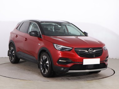 Opel , Salon Polska, Serwis ASO, Skóra, Navi, Klimatronic,-1