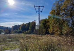 Działka usługowa Olszyna, ul. dk 30