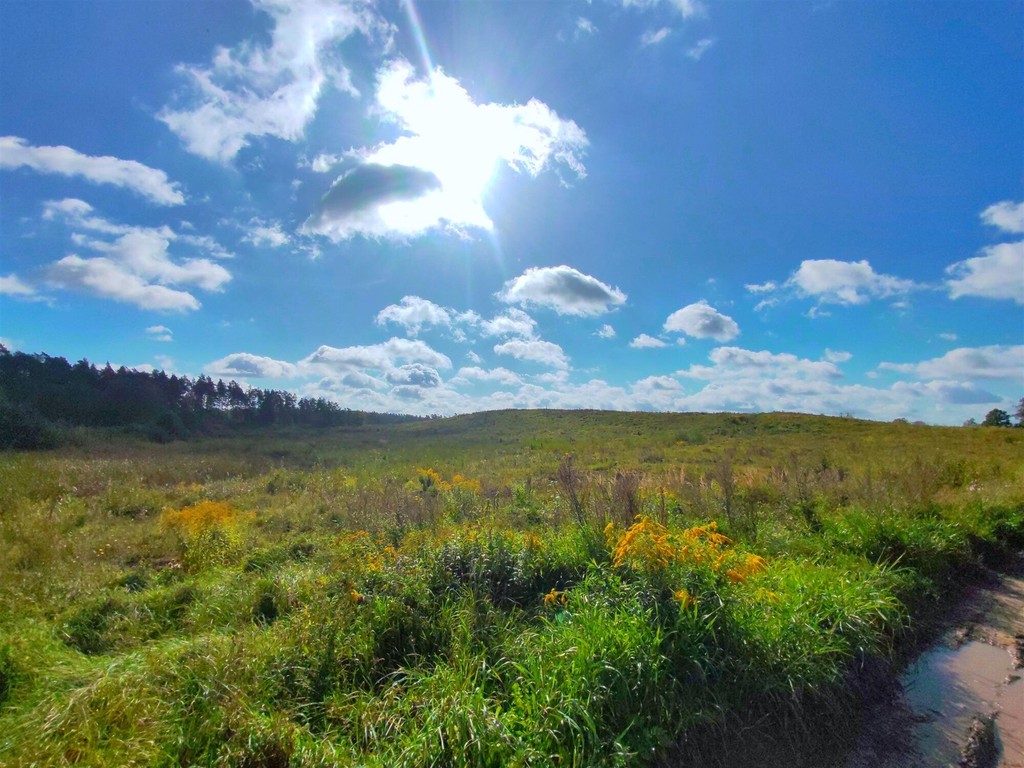 Działka na sprzedaż, 150092 m², Ełk Straduny - Widok 6