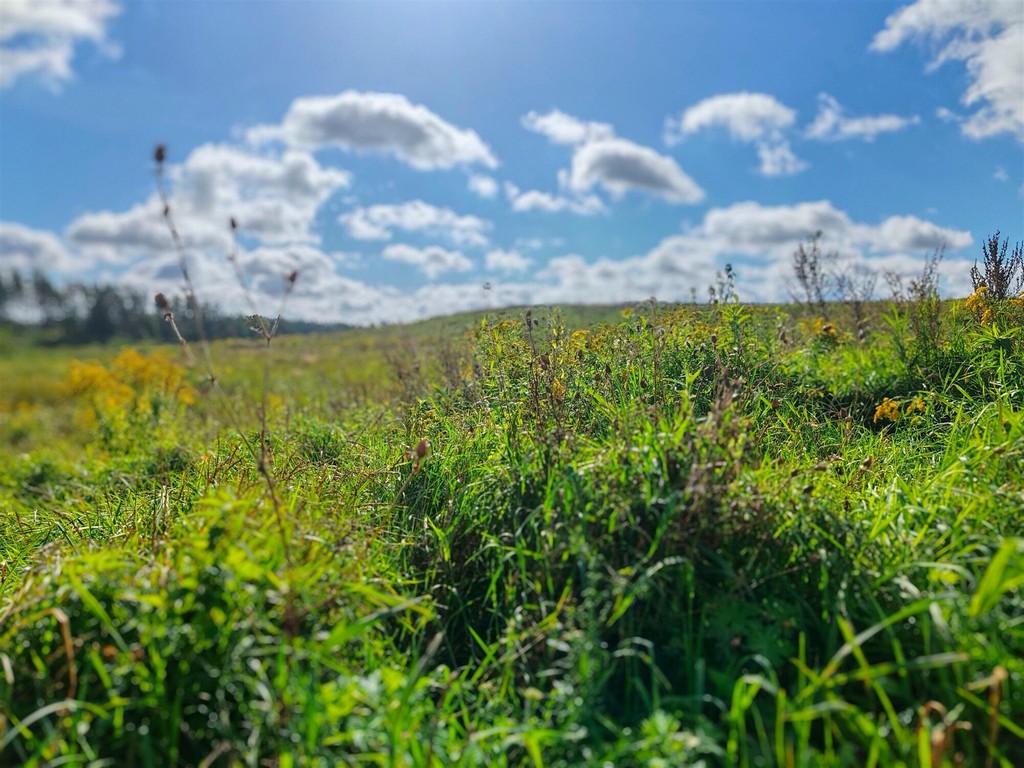 Działka na sprzedaż, 150092 m², Ełk Straduny - Więcej
