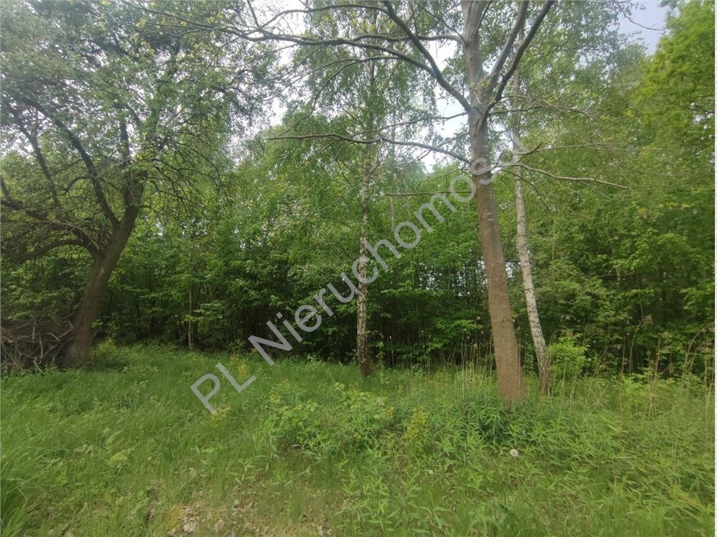 1280 m²- 30% zabudowy- media - Widok 2