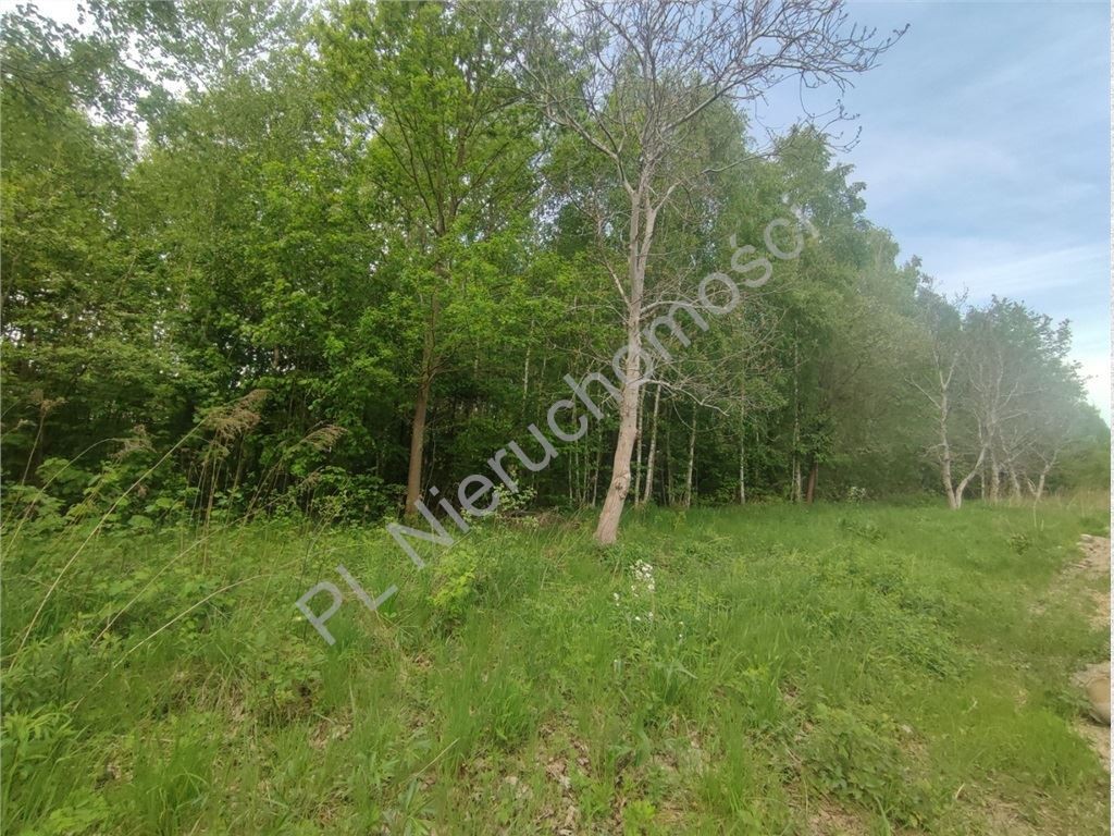 1280 m²- 30% zabudowy- media - Widok 4