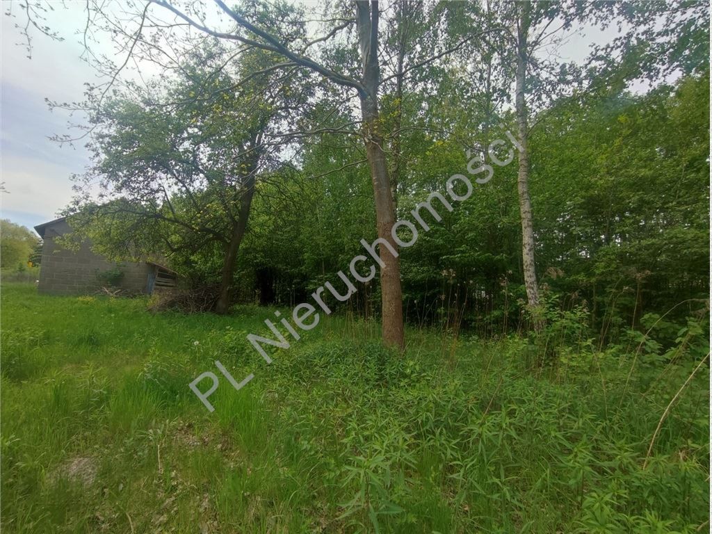 1280 m²- 30% zabudowy- media - Widok 6