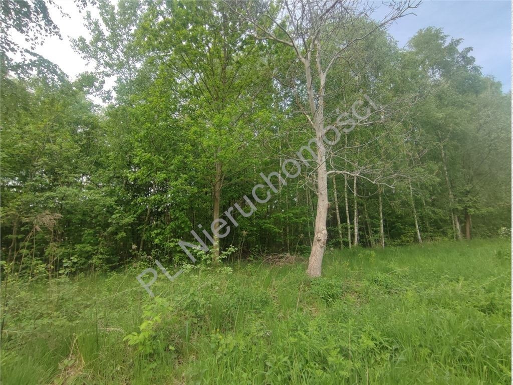 1280 m²- 30% zabudowy- media - Więcej