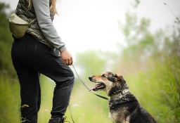 Ejże! Dlaczego ta dama nie ma jeszcze domku? - Przygarnij Sarę