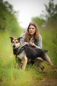 Ejże! Dlaczego ta dama nie ma jeszcze domku? - Przygarnij Sarę-2