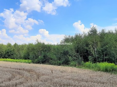 Czułów, gm. Liszki, działka rolna o pow. 81 arów.-1