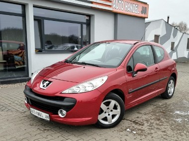 Peugeot 207-1