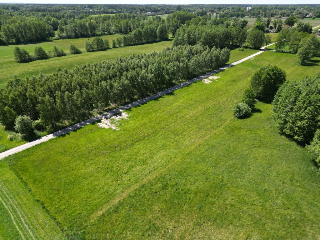 Działka na sprzedaż, 8156 m², Aleksandrów Łódzki Ciężków - Widok 5