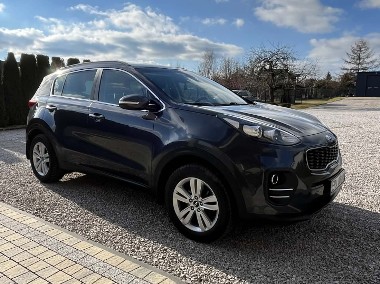 2017 rok, SALON POLSKA-1