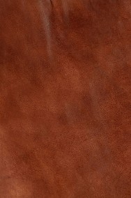 vidaXL Fotel bujany, brązowy, skóra naturalna i lite drewno mango282906-2