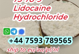 cas  73-78-9 Lidocaine Hydrochloride factory bulk supply