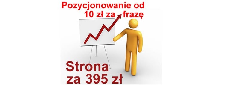 POZYCJONOWANIE stron Jaworzno tworzenie stron WWW strony internetowe strona-1