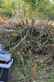 Wynajem Rębak rozdrabniacz do gałęzi elektryczny Łódź   Wypożyczalnia narzędzi -2