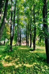 Pałacyk w Łodzi z pięknym parkiem UMÓW SIĘ NA OBEJRZENIE-2
