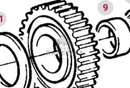 Fendt Favorit 514 Koło Zębate Walcowe CZĘŚCI 514100080060