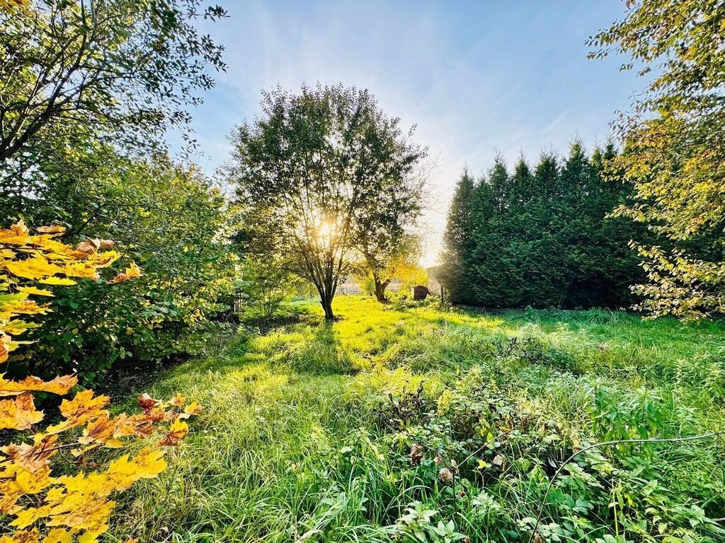 Działka budowlana 1766 m² z garażem – Niedobczyce - Widok 3